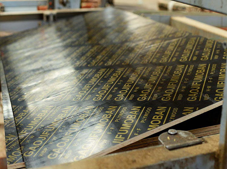 帶字母的建筑模板