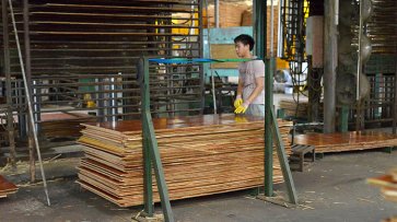 「 廣西建筑模板工廠(chǎng)」廣西弘獅木業(yè)廠(chǎng)區(qū)介紹